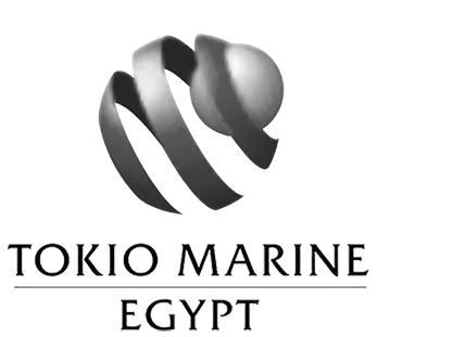 tokio marine egypt