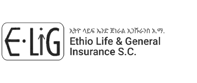 Insurance ethio life & general insurance s.c